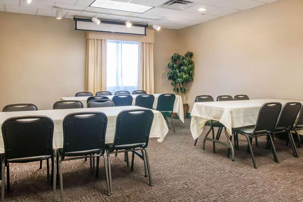 Comfort Suites Auburn Hills-Detroit Faciliteiten foto