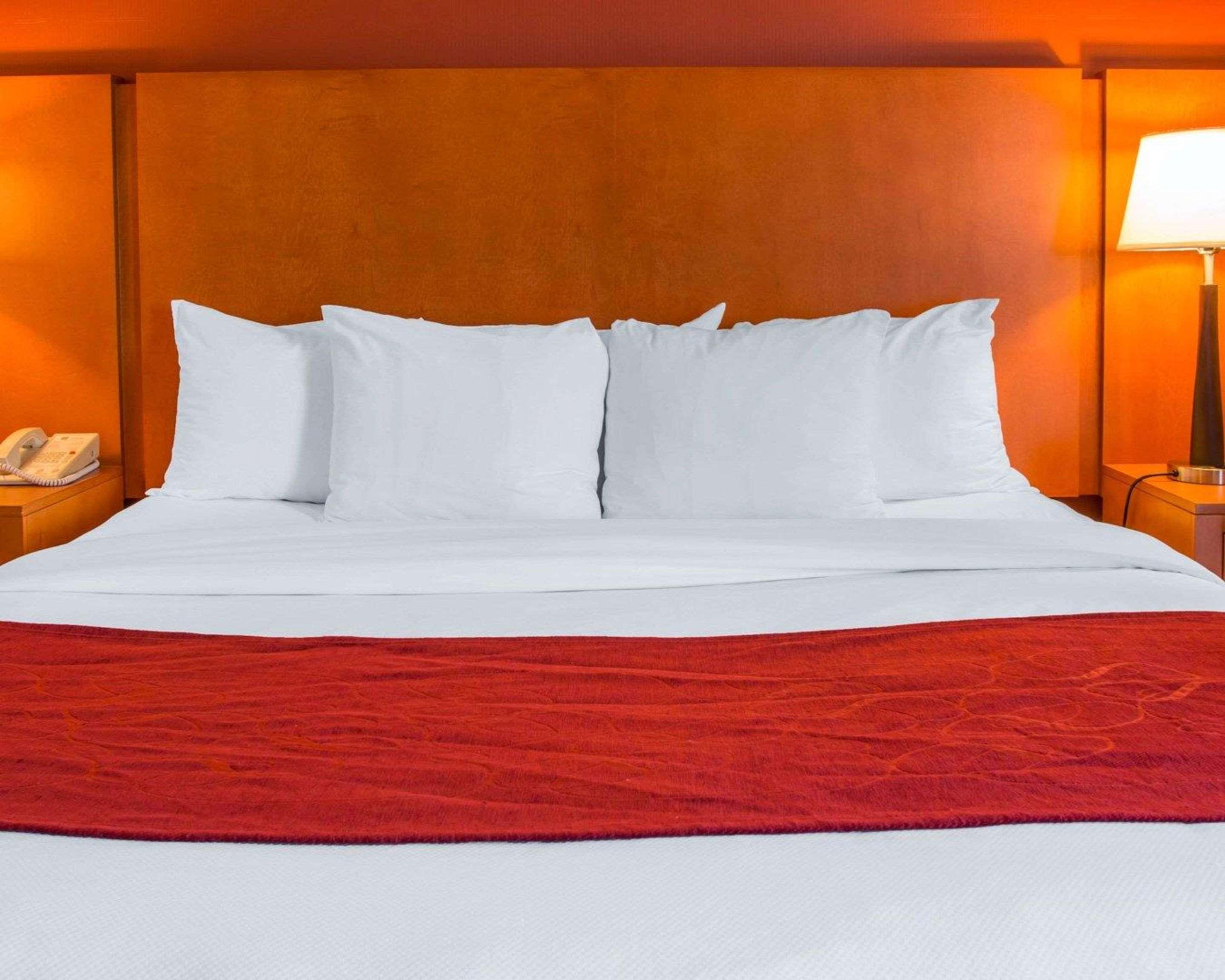 Comfort Suites Auburn Hills-Detroit Buitenkant foto