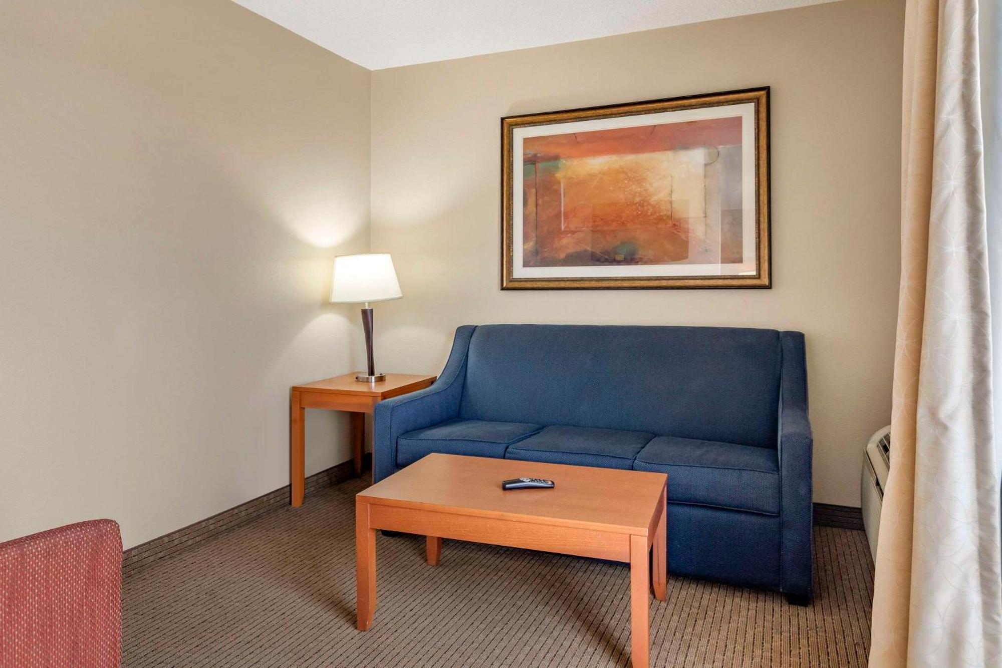 Comfort Suites Auburn Hills-Detroit Buitenkant foto