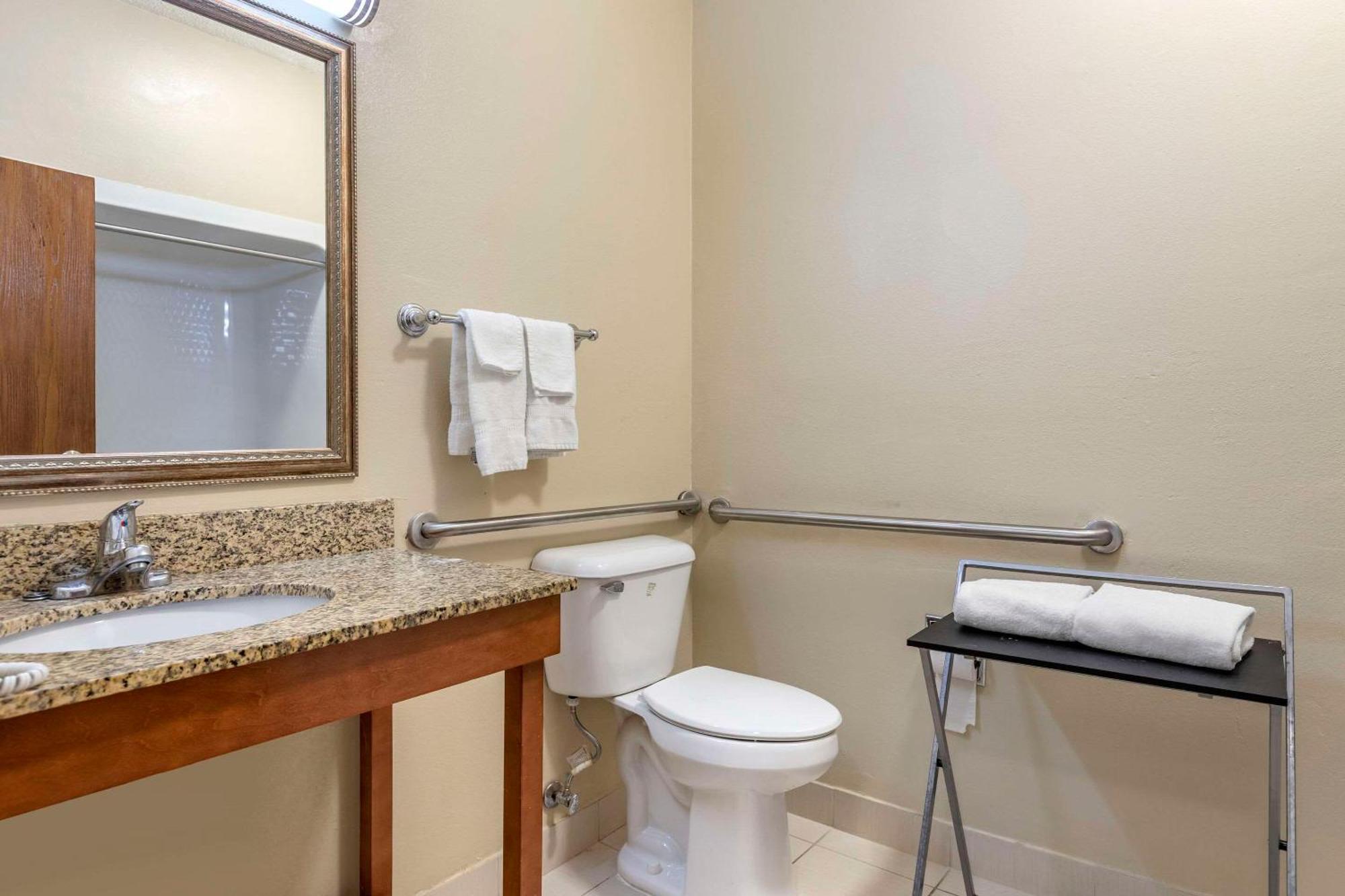 Comfort Suites Auburn Hills-Detroit Buitenkant foto